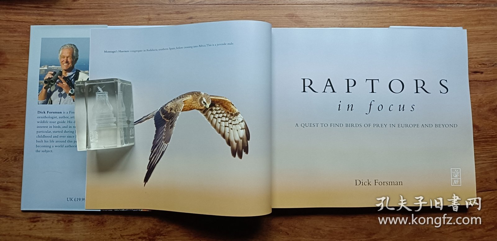 RAPTORS in focus :a quest to find birds of prey in europe and beyond