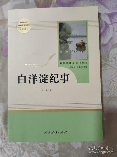 白洋淀纪事 名著阅读课程化丛书（统编语文教材配套阅读）七年级上