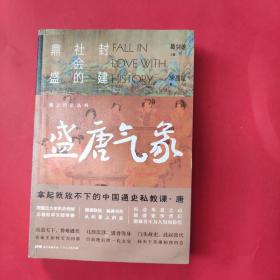 爱上历史系列丛书——盛唐气象：封建社会的鼎盛