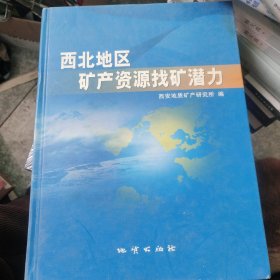 西北地区矿产资源找矿潜力