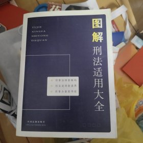 图解刑法适用大全