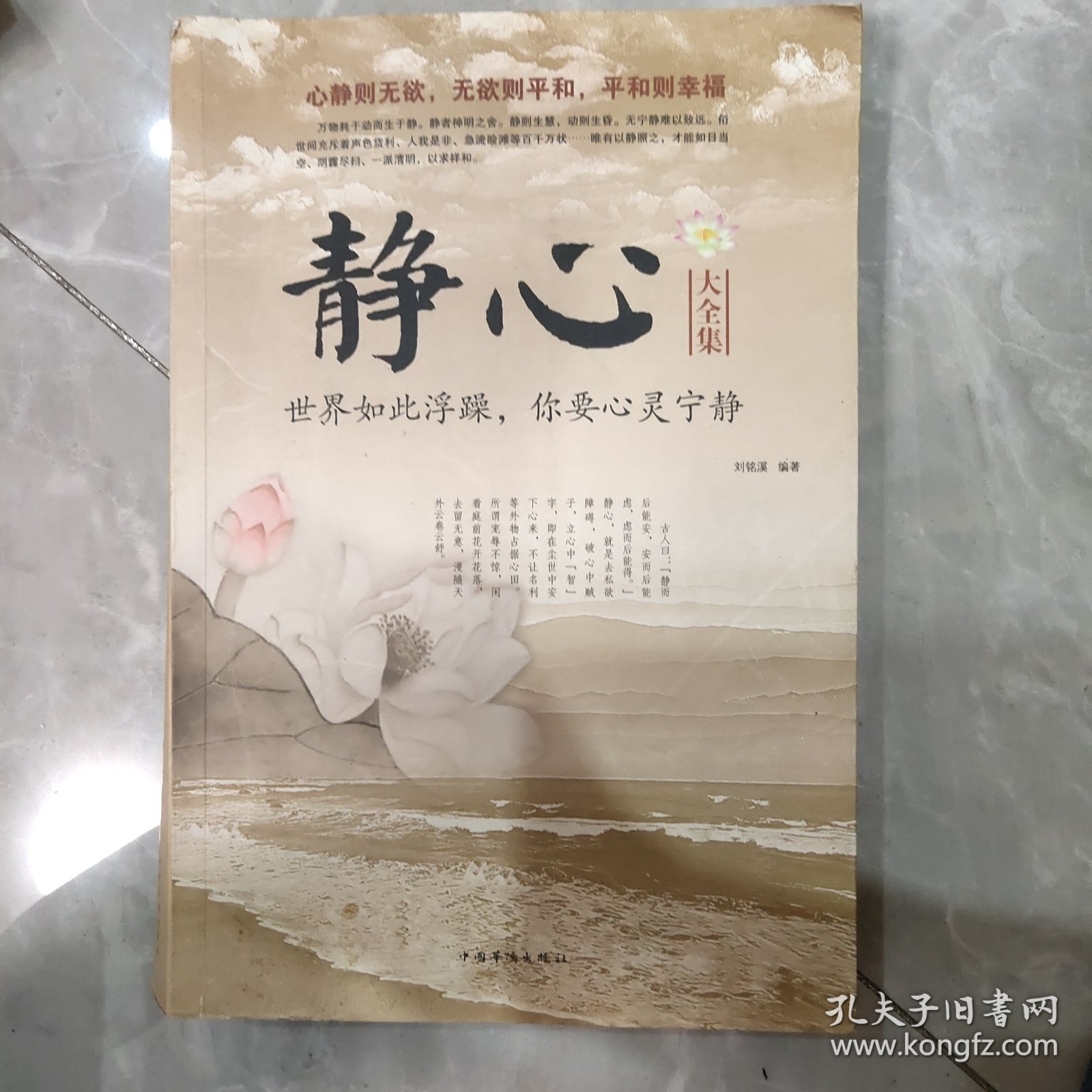 静心大全集 : 世界如此浮躁，你要心灵宁静（超值白金版）