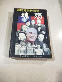 魂殇:国民党失势揭秘