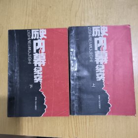 历史内幕纪实上下全