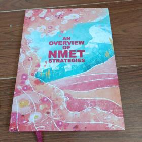 AN OVERVIEW OF NMET STRATEGIES语法填空