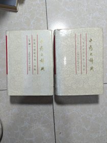 中药大辞典（缩印本）（上下册）