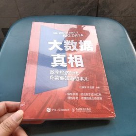 大数据真相：数字经济时代你需要知道的事儿