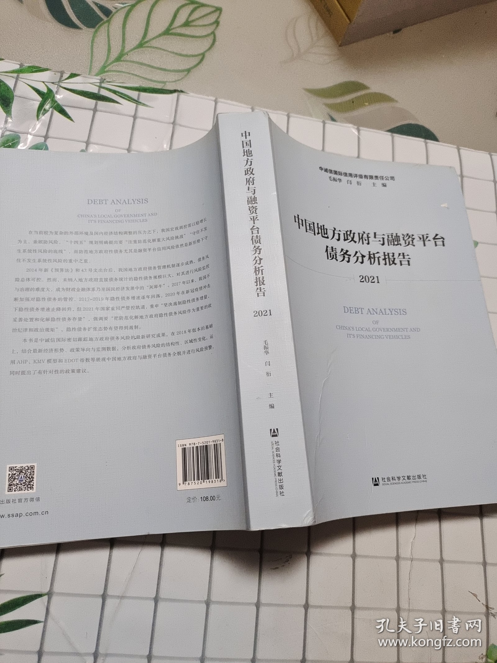 中国地方政府与融资平台债务分析报告（2021）