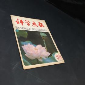 科学画报1984年第10期