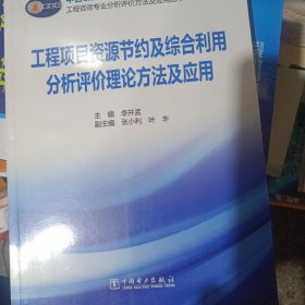 工程咨询专业分析评价方法及应用丛书：工程项目资源节约及综合利用分析评价理论方法及应用