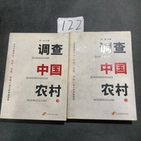 调查中国农村（上下册）