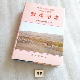 敦煌市志