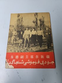 朱德副主席在新疆 画册