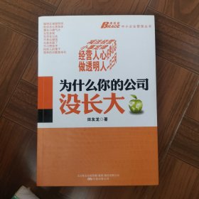 为什么你的公司没长大