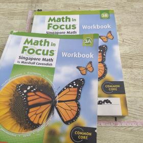 Math in Focus Workbook,  3A3B