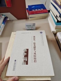 城镇化、债务融资与风险防控
