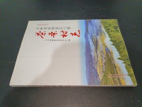 茶条村志（吉林省安图县石门镇）