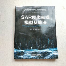 SAR图像去噪模型及算法