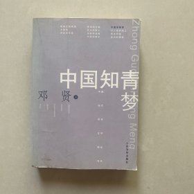 中国知青梦