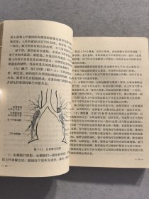 胸部X线诊断基础