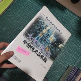 MapGIS开发系列丛书：大型三维GIS平台技术及实践