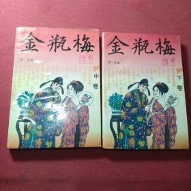 金瓶梅传奇（中下）