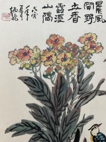 王炳龙 花鸟