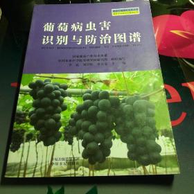 家庭农场实用技术丛书·园艺作物病虫害图谱系列：葡萄病虫害识别与防治图谱