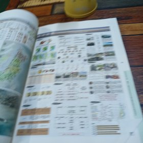 村庄安全:青岛滨海典型乡村规划设计