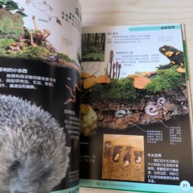 DK大百科:自然卷