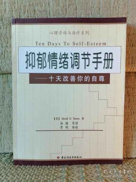 抑郁情绪调节手册：十天改善你的自尊