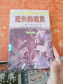 迷失的魂灵--湖北荆沙特大抢劫团伙案侦破纪实