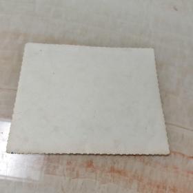 盐城市大洋学校八四届六年级小学毕业生合影