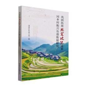 正版 巩固拓展脱贫攻坚成果同乡村振兴有效衔接研究 国家乡村振兴局 9787109307452