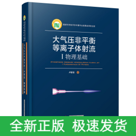 大气压非平衡等离子体射流：I.物理基础