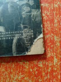 摄影网 第十四期(第14期) 1953年1月