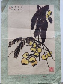 枇杷（中国画）1961年一版34*26CM