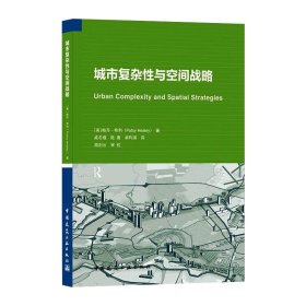 城市复杂性与空间战略