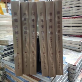 红楼梦之系列 全6册 凤姐泼醋 宝玉受 两宴大观园 探春结社 晴雯撕扇 摔玉起风波