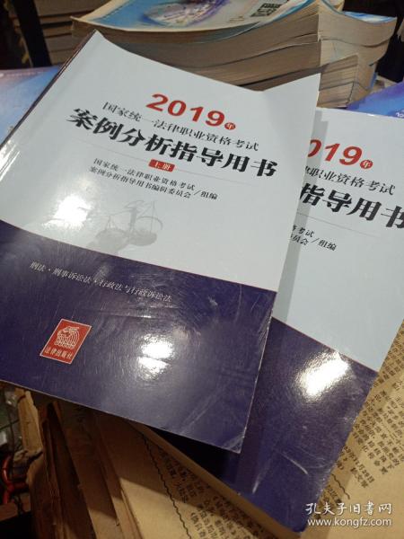 司法考试2019 2019年国家统一法律职业资格考试案例分析指导用书（全2册）