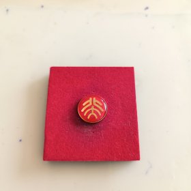 北京大学校徽徽章滴胶
