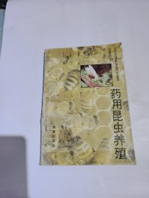 药用昆虫养殖