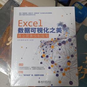 Excel数据可视化之美：商业图表绘制指南