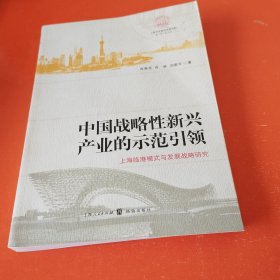 中国战略性新兴产业的示范引领：上海临港模式与发展战略研究