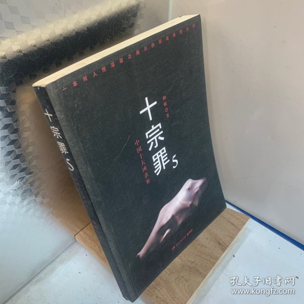 十宗罪5：中国十大凶杀案