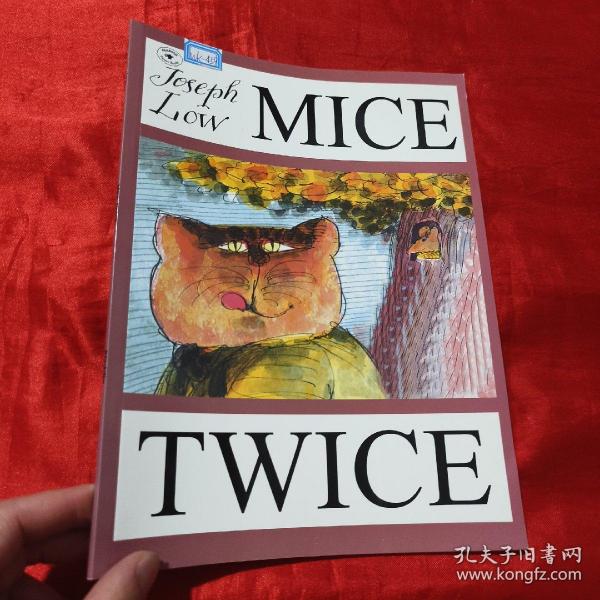 Mice Twice  两只老鼠