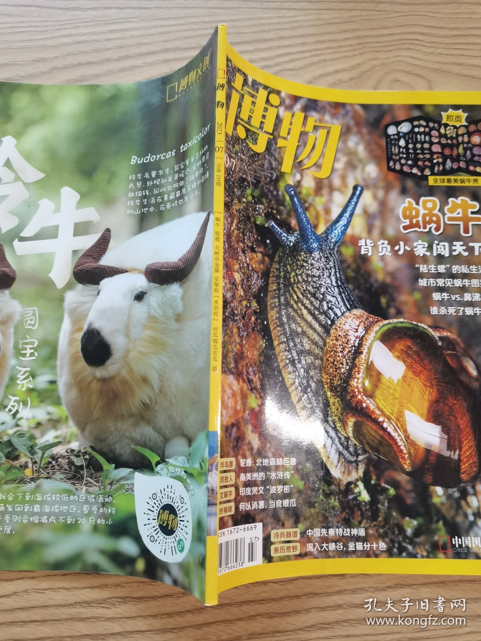 点击查看原图 博物2023.07