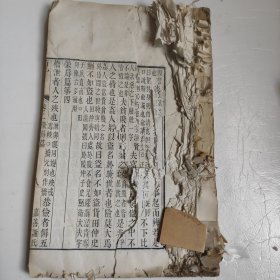 荀子