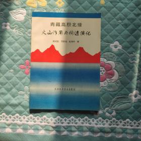 青藏高原北缘火山作用与构造演化