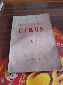 我们心中最红最红的红太阳毛主席万岁